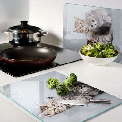 Szklana deska kuchenna Koty na tle okna