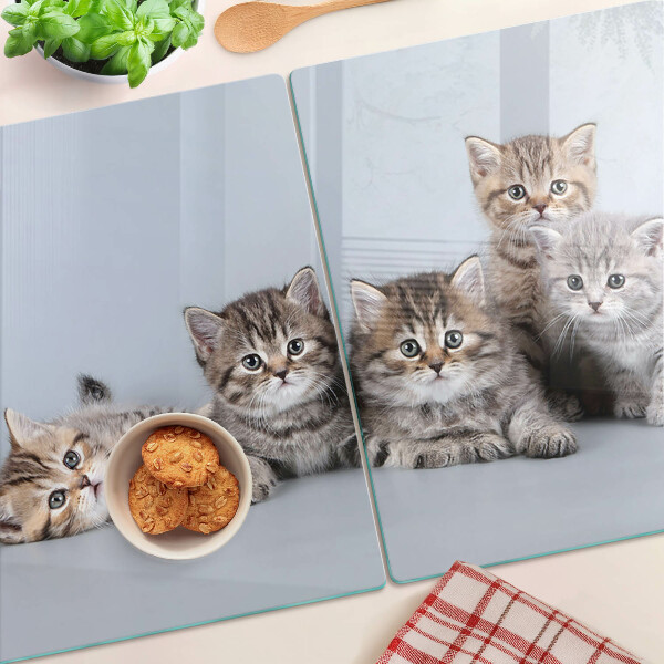 Snijplanken van glas Katten op de achtergrond van het raam.