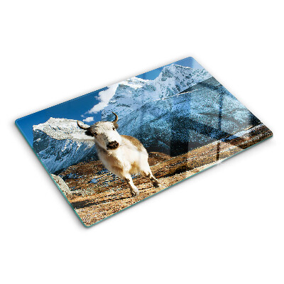 Snijplanken glas Een koe in de bergen