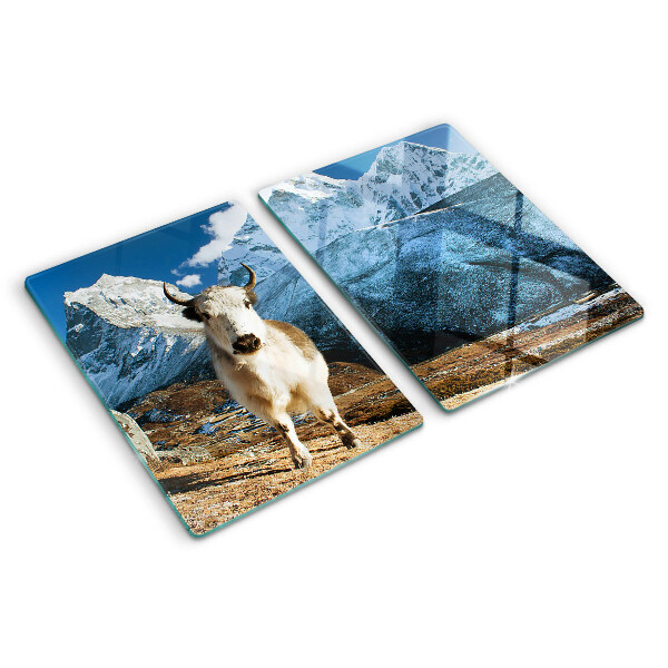 Szklana deska kuchenna Krowa w górach