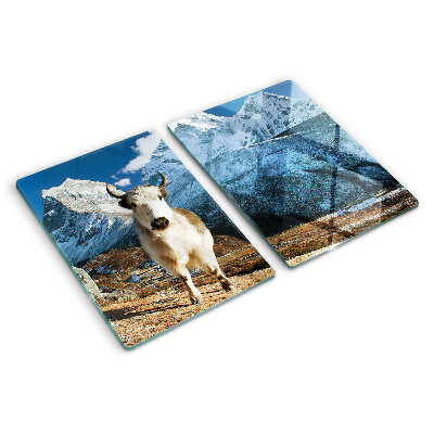 Snijplanken glas Een koe in de bergen