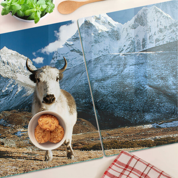 Szklana deska kuchenna Krowa w górach