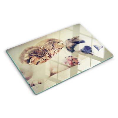 Deska kuchenna szklana Koty i piesek śpiące razem