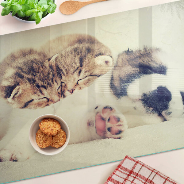 Deska kuchenna szklana Koty i piesek śpiące razem