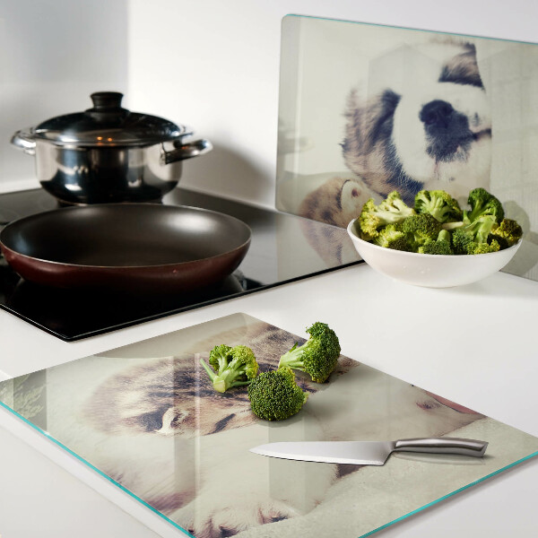 Deska kuchenna szklana Koty i piesek śpiące razem