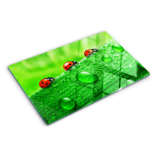 Deska kuchenna szklana Biedronki na zielonym tle