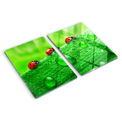 Snijplanken glas Lieveheersbeestjes op een groene achtergrond