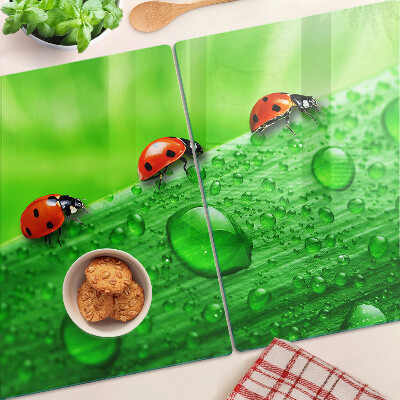 Deska kuchenna szklana Biedronki na zielonym tle