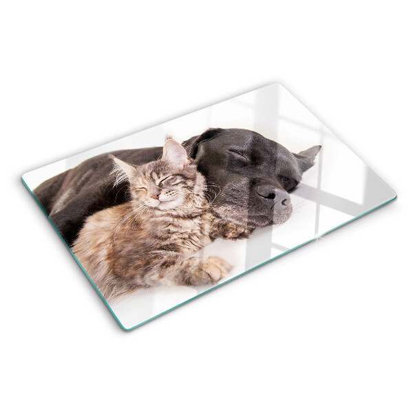 Szklana deska kuchenna Kot i pies śpiące razem