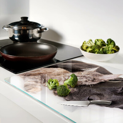 Szklana deska kuchenna Kot i pies śpiące razem