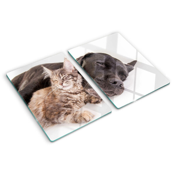 Glazen snijplanken Kat en hond slapen samen