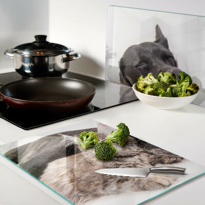 Glazen snijplanken Kat en hond slapen samen