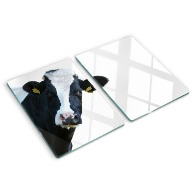 Szklana deska kuchenna Ciekawa krowa
