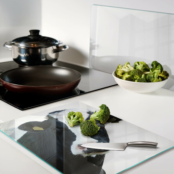 Szklana deska kuchenna Ciekawa krowa