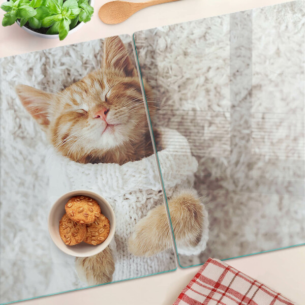Szklana deska kuchenna Słodki kotek w sweterku