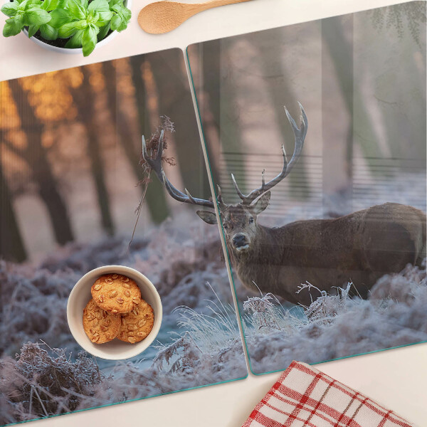 Deska kuchenna szklana Jeleń w zimowym lesie