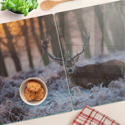Snijplanken van glas Herten in het winterbos