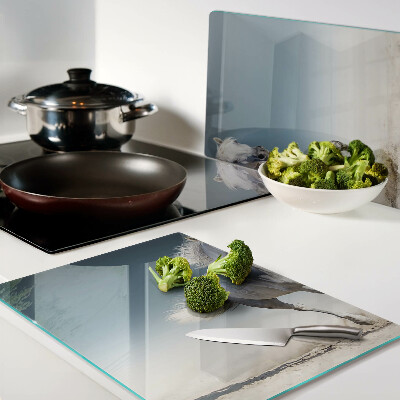 Snijplanken van glas Wit paard in beweging