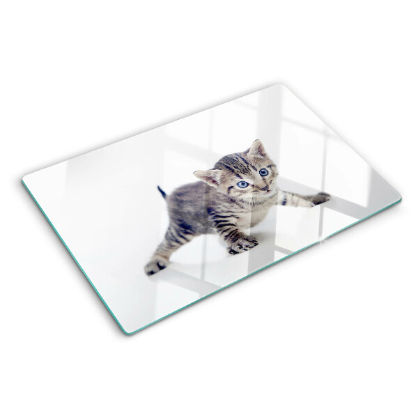 Szklana deska kuchenna Kotek z niebieskimi oczami