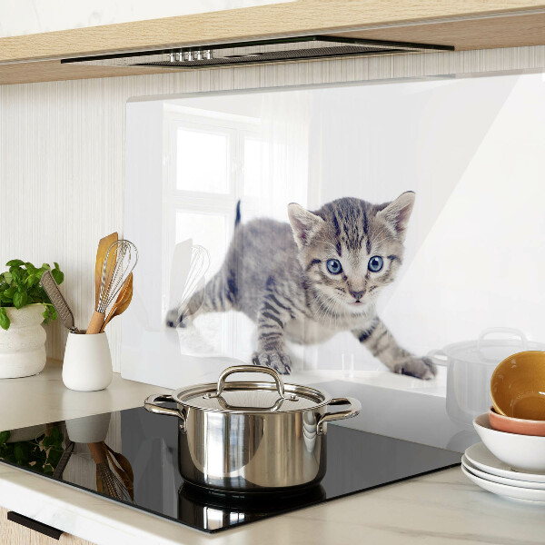 Szklana deska kuchenna Kotek z niebieskimi oczami