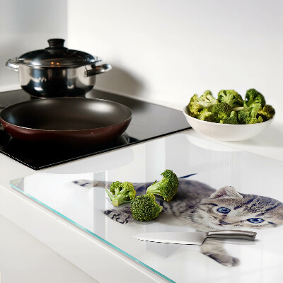 Szklana deska kuchenna Kotek z niebieskimi oczami