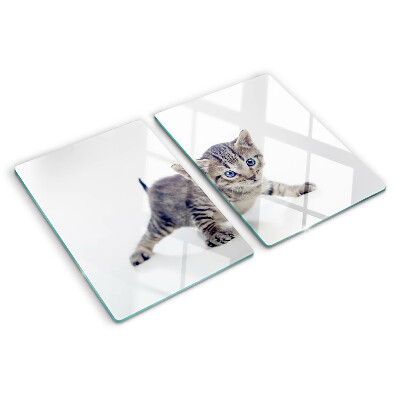 Szklana deska kuchenna Kotek z niebieskimi oczami