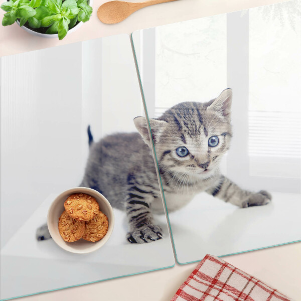 Szklana deska kuchenna Kotek z niebieskimi oczami