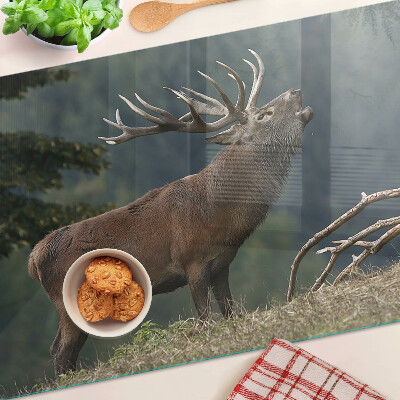 Szklana deska kuchenna Jeleń w naturalnym środowisku