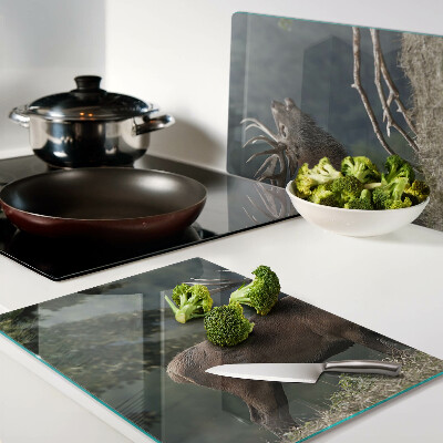 Szklana deska kuchenna Jeleń w naturalnym środowisku