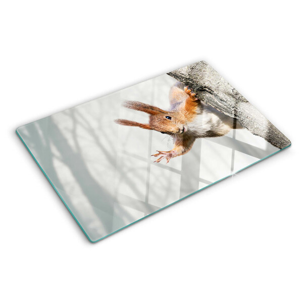 Szklana deska kuchenna Wiewiórka na gałęzi