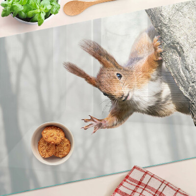 Szklana deska kuchenna Wiewiórka na gałęzi