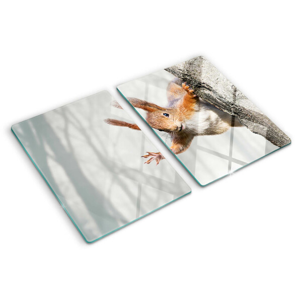 Szklana deska kuchenna Wiewiórka na gałęzi