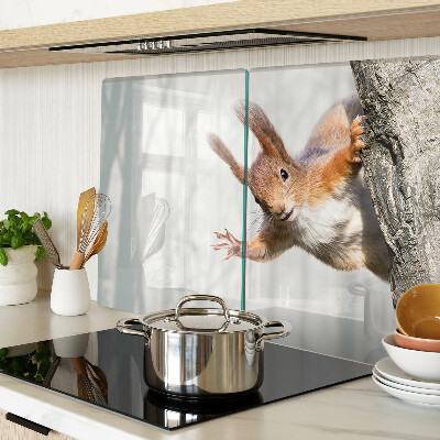 Szklana deska kuchenna Wiewiórka na gałęzi