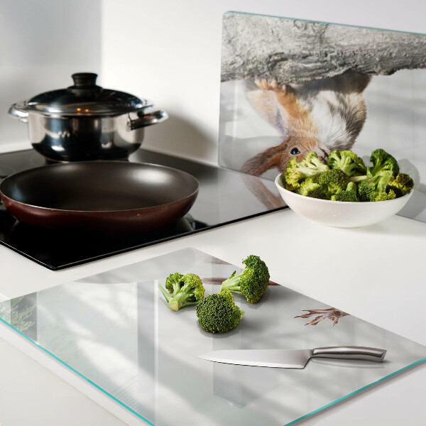 Szklana deska kuchenna Wiewiórka na gałęzi