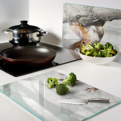 Szklana deska kuchenna Wiewiórka na gałęzi