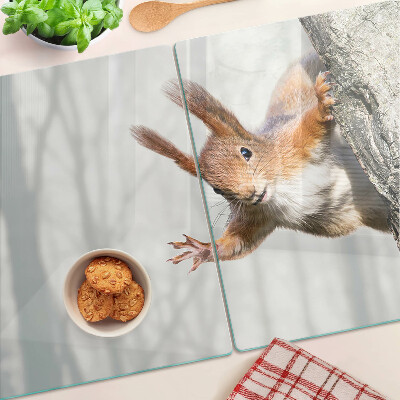 Szklana deska kuchenna Wiewiórka na gałęzi