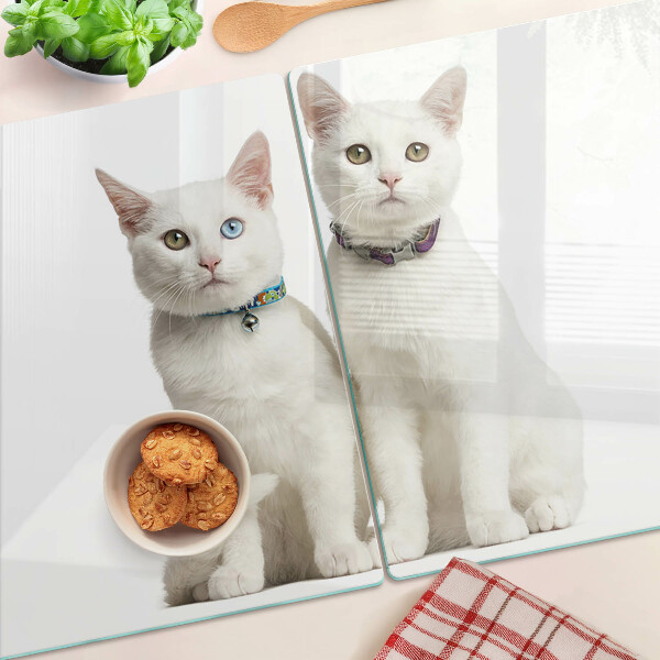 Deska kuchenna szklana Białe koty z różnokolorowymi oczami