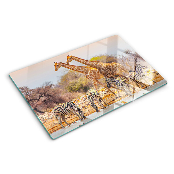 Snijplanken van glas Zebra's en giraffen in hun natuurlijke leefomgeving