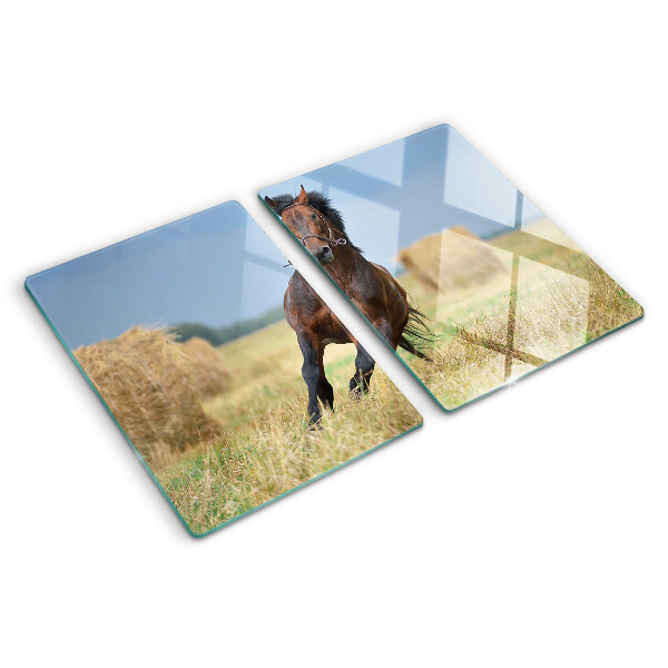 Szklana deska do krojenia Koń na łące