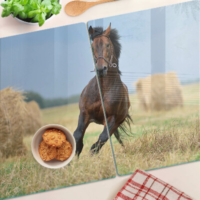 Szklana deska do krojenia Koń na łące