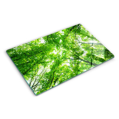 Snijplanken van glas Bossen en groene bomen