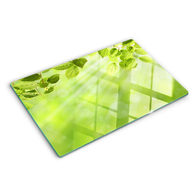 Glazen snijplanken Groene bladeren tegen het licht