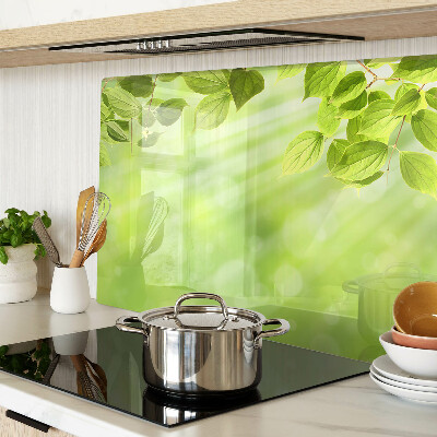 Szklana deska do krojenia Zielone liście na tle światła