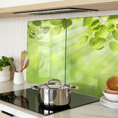 Szklana deska do krojenia Zielone liście na tle światła