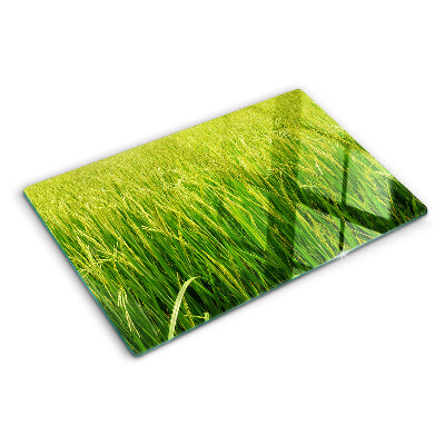 Glazen snijplanken Groen grasveld