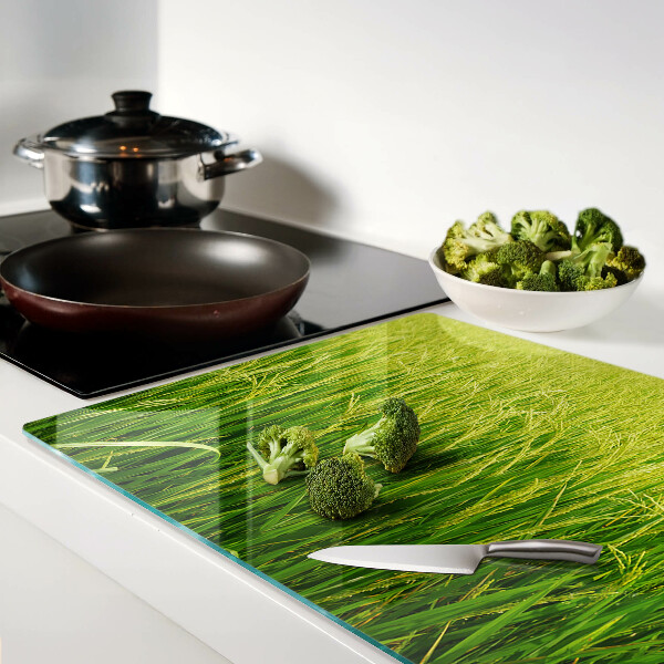 Szklana deska kuchenna Zielone pole trawy