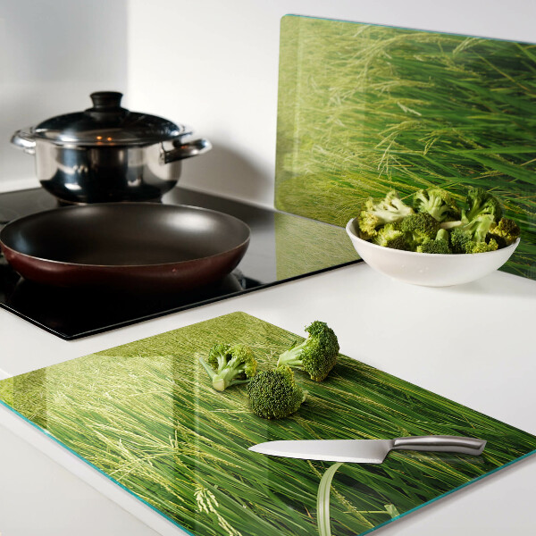 Szklana deska kuchenna Zielone pole trawy