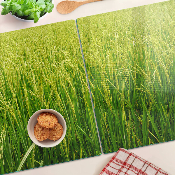 Szklana deska kuchenna Zielone pole trawy