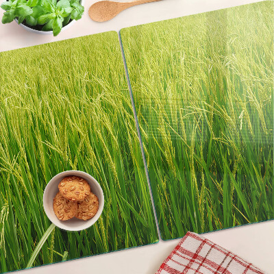 Szklana deska kuchenna Zielone pole trawy