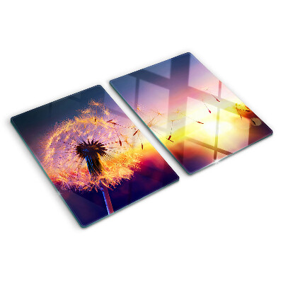 Glazen snijplanken Paardenbloemen tegen de achtergrond van de zonsondergang